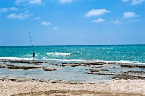 Dolphin Village - Sea By Ran 3*